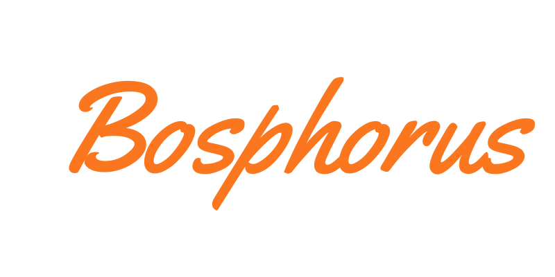 Bosphorus Istanbul Restaurant 